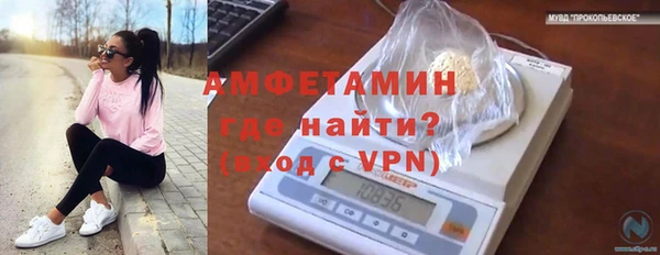 стафф Горняк