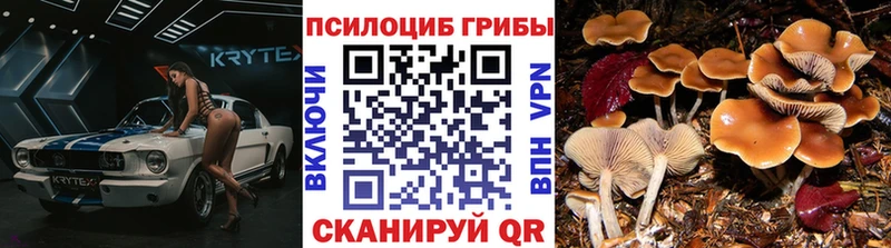 Галлюциногенные грибы прущие грибы  Зерноград 